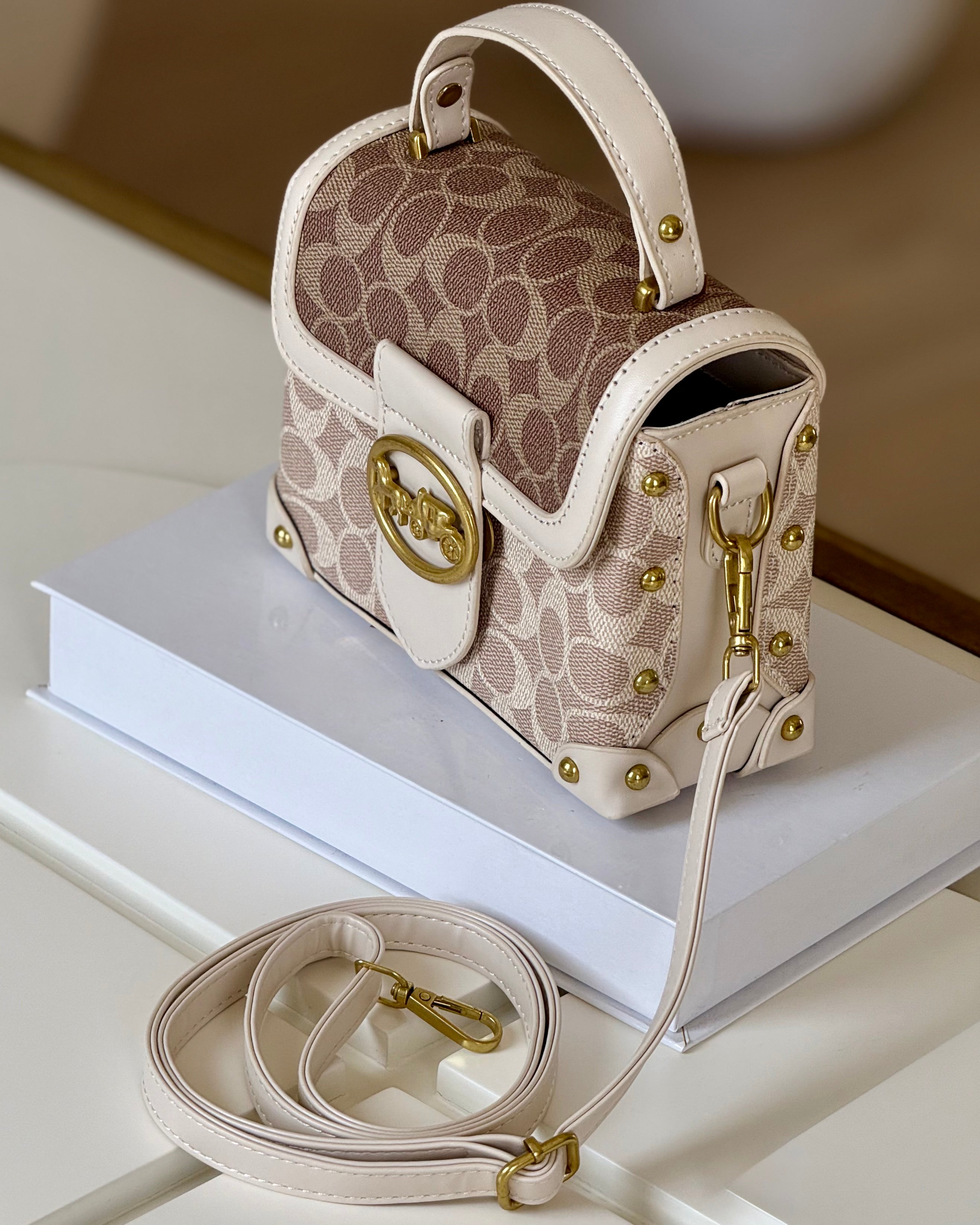 Sac  Le Petit Coffret beige - hkstore